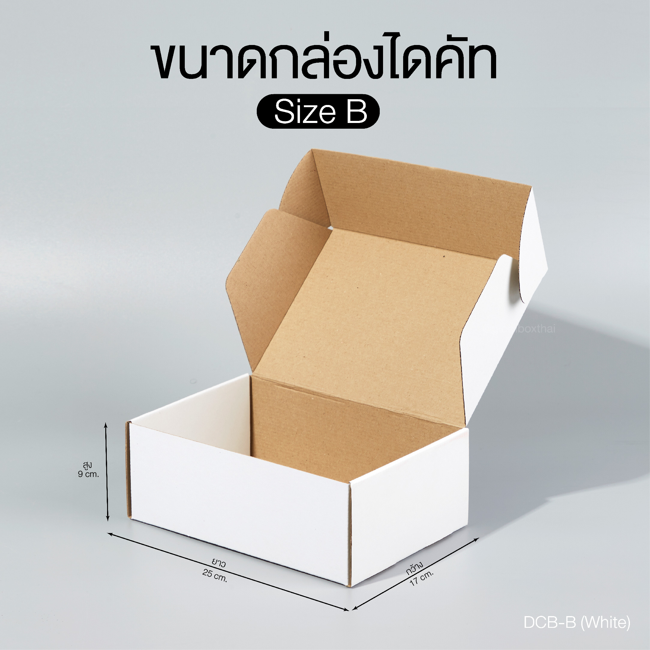 กล่องไดคัทสีขาว B.jpg